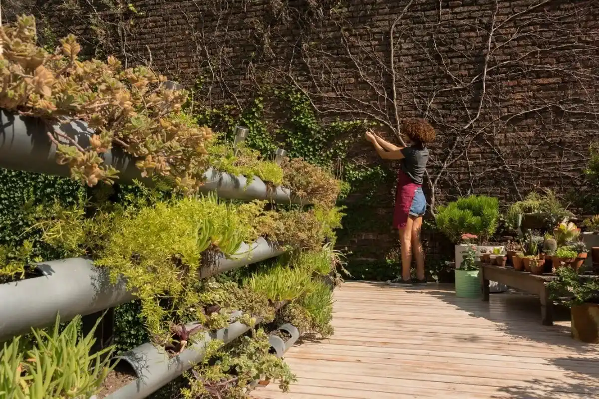 Creating Vertical Herb Gardens in Small Urban Spaces