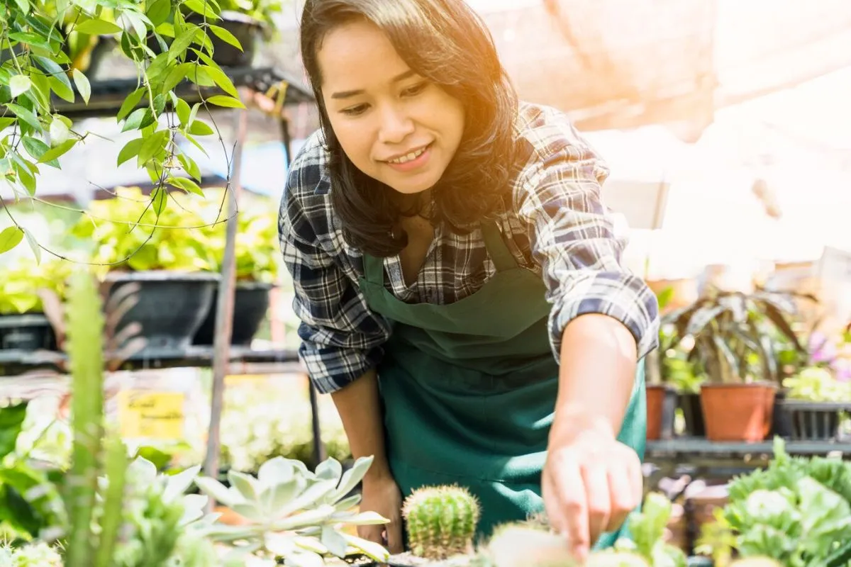 Designing self-sustaining edible plant gardens