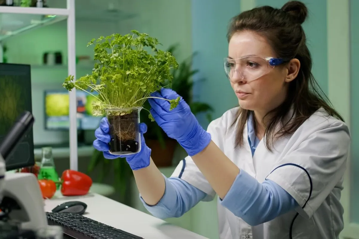 Enhancing Vitamin Content in Edible Plants through Biotechnology