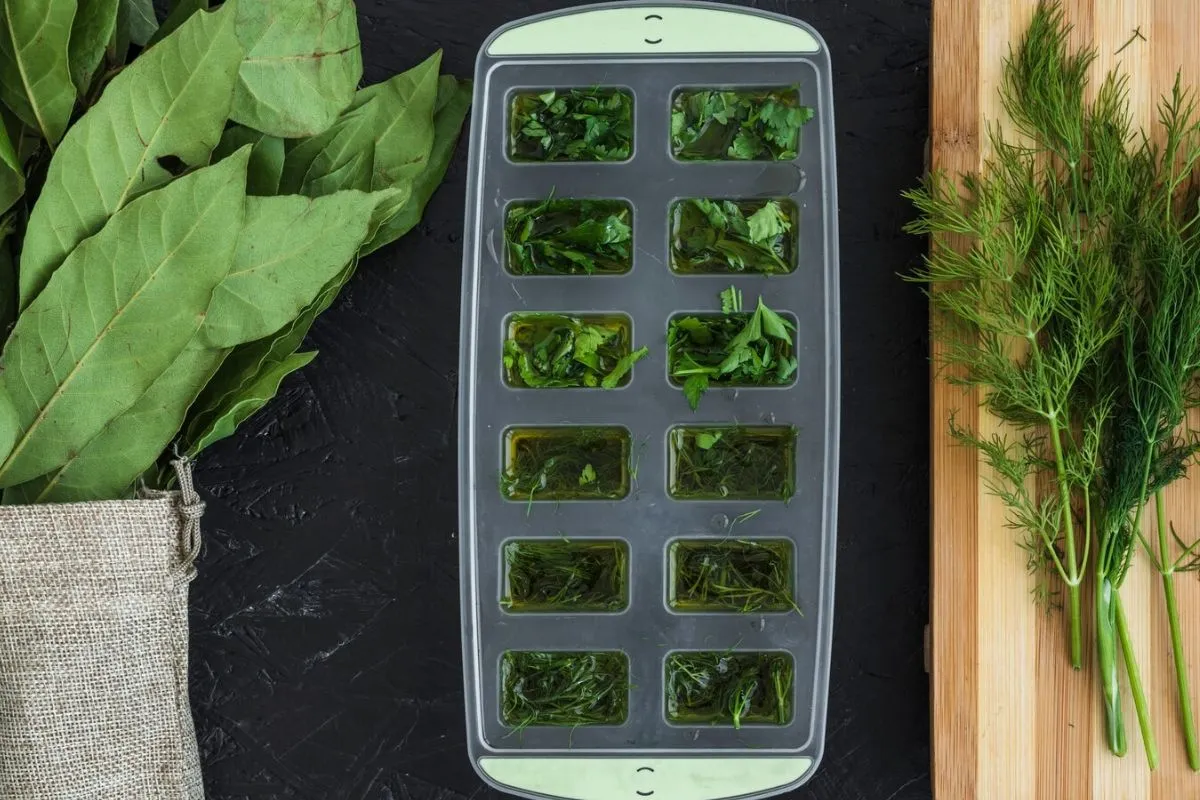 Growing Edible Microgreens in Recycled Containers