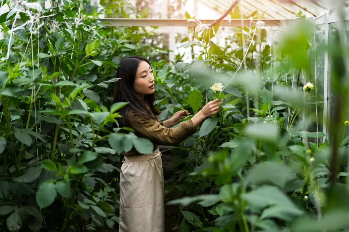 Growing organic vegetables with vertical farming systems