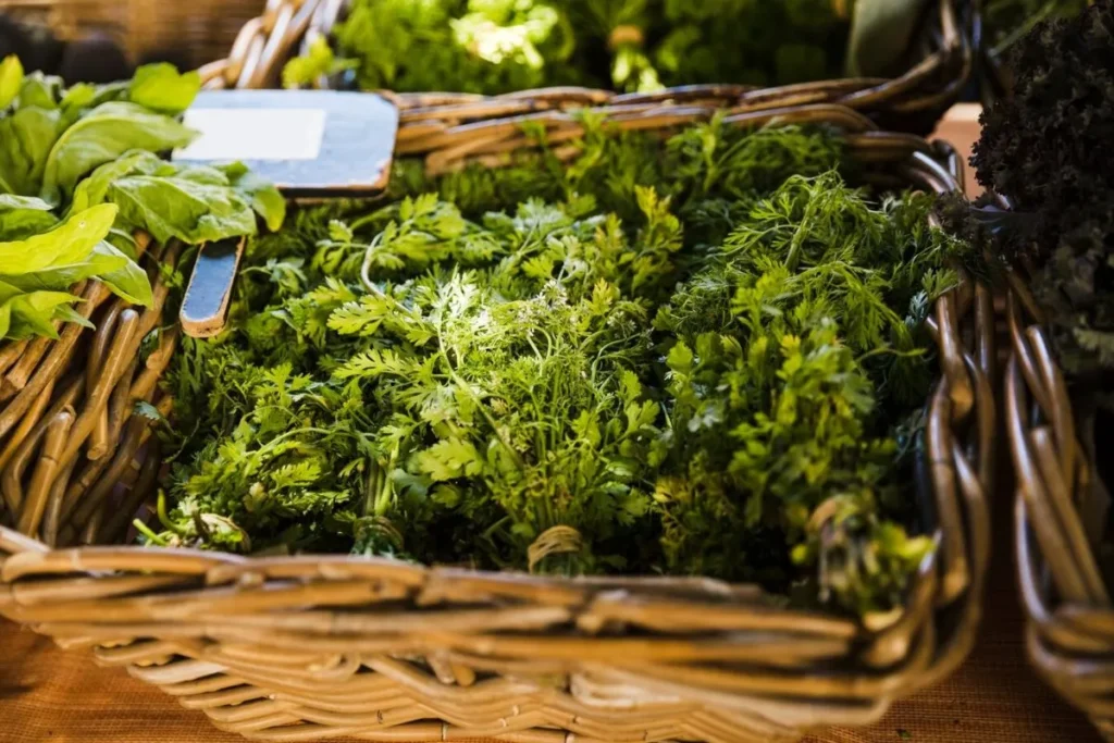 Indoor Vertical Farming for Year-Round Harvests