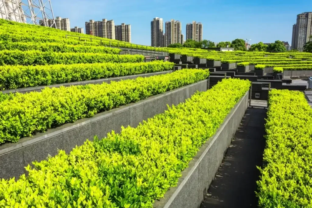 Sustainable Vertical Farming Solutions for City Dwellers