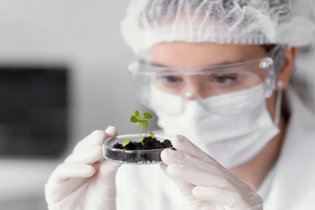 Using Biotechnology to Improve Edible Plant Yield