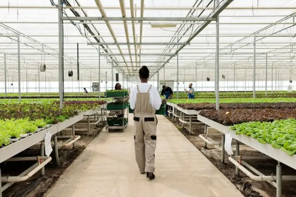 Using Smart Technology in Vertical Urban Farming