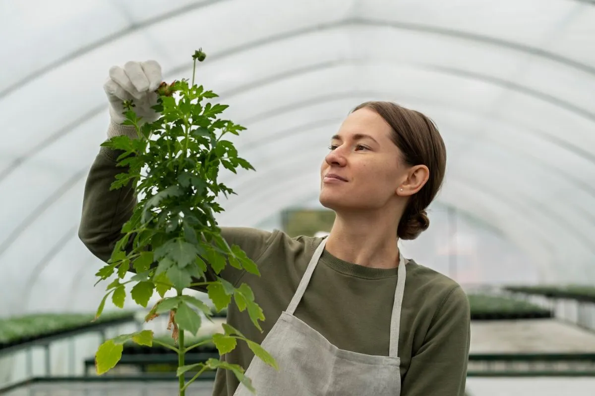 Vertical Farming for Community Gardens in Urban Areas